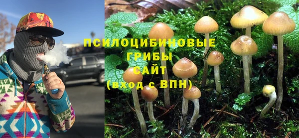 сатива Алексин