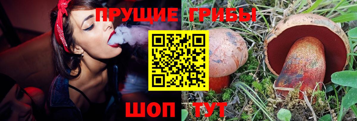 что такое наркотик  Вход с VPN  Анапа  Псилоцибиновые грибы Psilocybine cubensis 